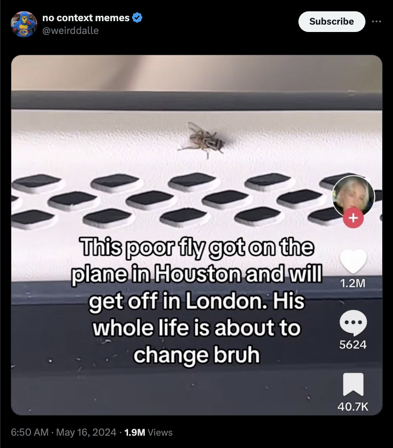 screenshot - no context memes Subscribe This poor fly got on the plane in Houston and will get off in London. His whole life is about to change bruh 1.2M 5624 1.9M Views